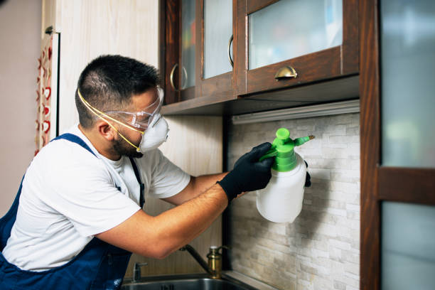  Surrey, ND Pest Control Pros