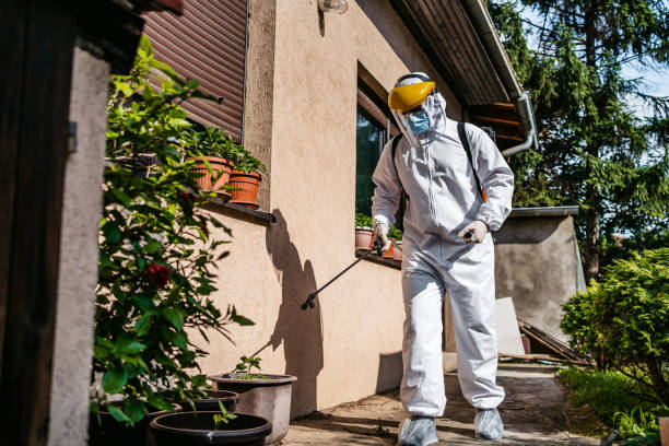 Best Mosquito Control Services  in Surrey, ND