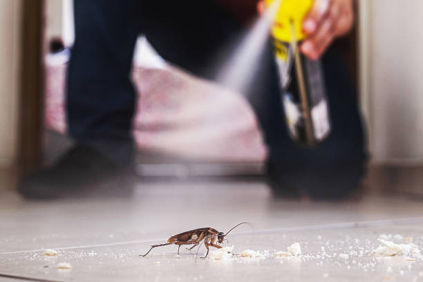 Best Best Pest Control Companies  in Surrey, ND