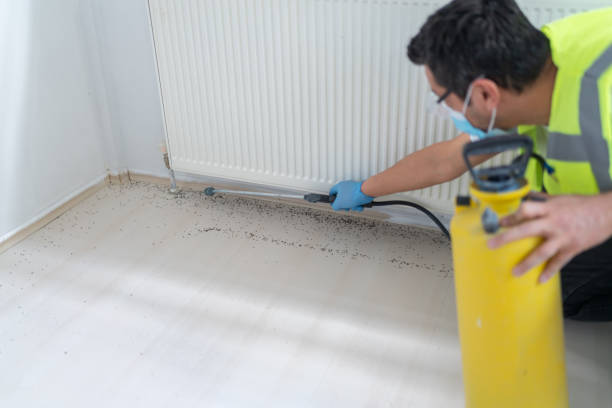 Best Termite Control Services  in Surrey, ND