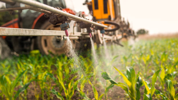 Best Pest Control Near Me  in Surrey, ND